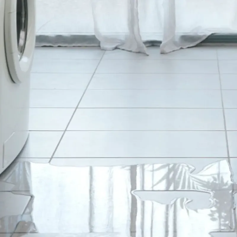 Appliance Leak Cleanup in Fredonia, WI