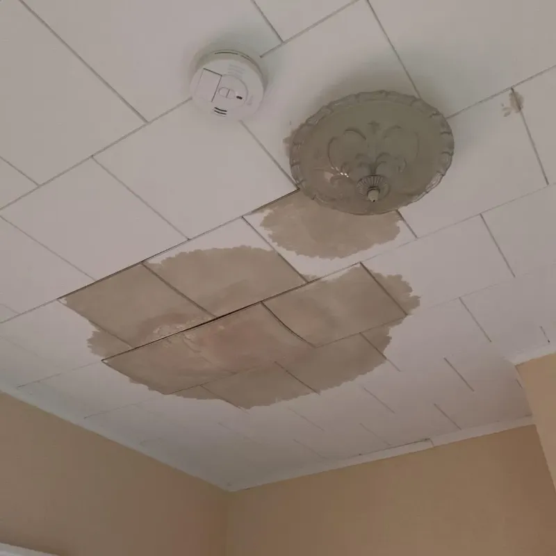 Ceiling Water Damage Repair in Fredonia, WI