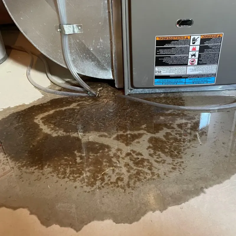 Pipe Burst and Leak Restoration in Fredonia, WI