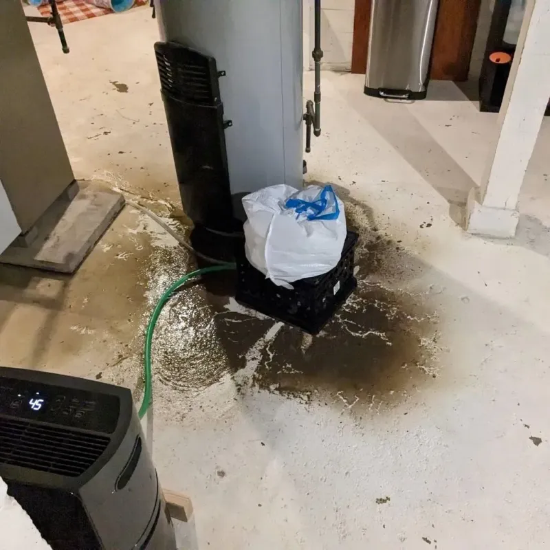 Sewage Backup Cleanup Service in Fredonia, WI